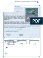 Delfín rosado Amazonas