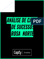 Análise de Cases de Sucesso - Rosa Norte - Juliana Fabres