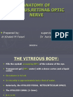 Anatomy of Vitreous and Retina