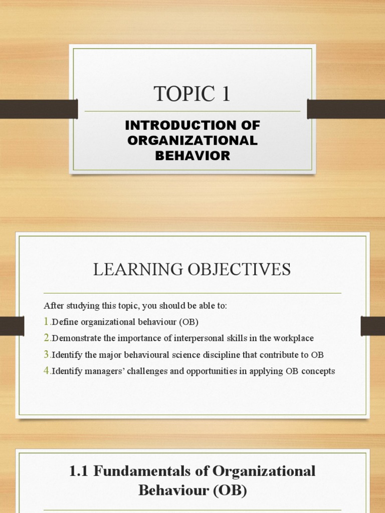 Introduction to Organizational Behavior | PDF | Organizational Behavior ...
