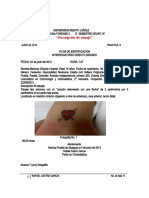 Descripcion de Tatuaje 1