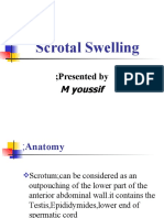 Scrotal Swelling: Presented by