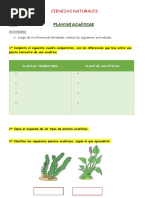 8.1 Cs Nat PLANTAS ACUÁTICAS