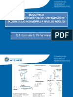 Clase 5 Mecanismo - de - Accion - Hormonas