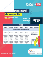 Cronograma Semanal