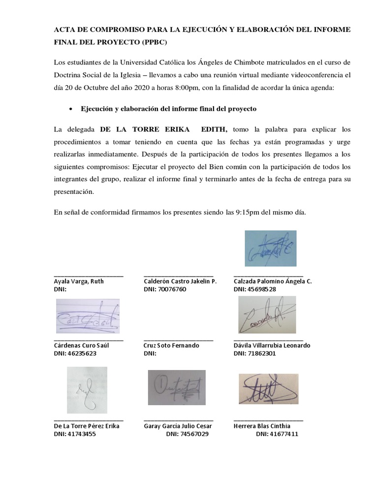 Compromiso para Informe Final PPBC | PDF