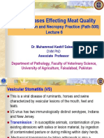 Viral Diseases Effecting Meat Quality: Meat Inspection and Necropsy Practice (Path-506)