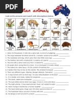 Australian Dichotomous Key Questions | PDF | Birds | Mammals