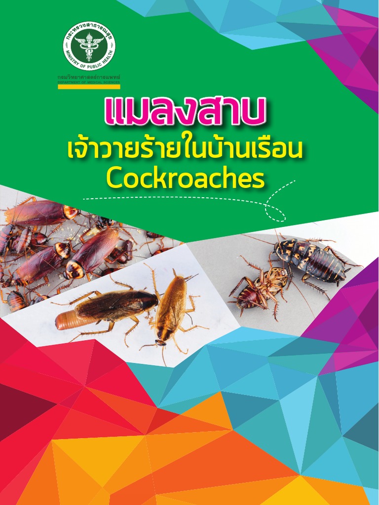 Cockroaches | PDF