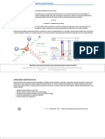 Conceptos Básicos de La Espectroscopia Raman