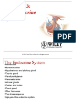 Endocrine System - Tortora