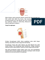 anatomi tubuh dan fungsinya