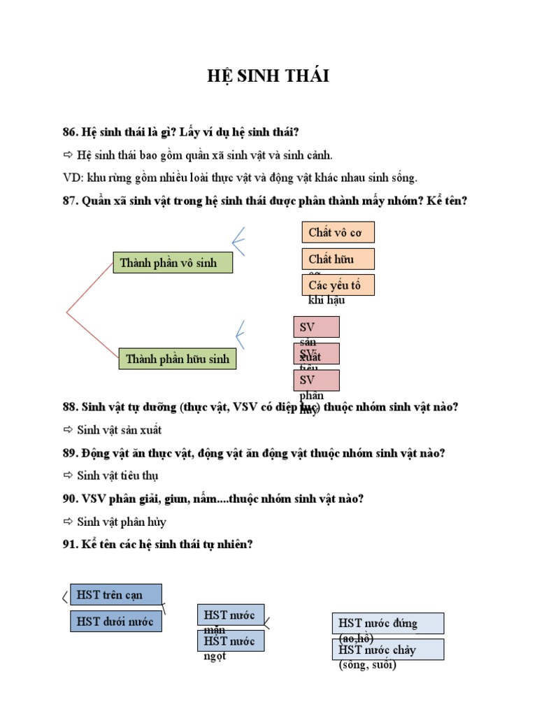 Hệ Sinh Thái | PDF