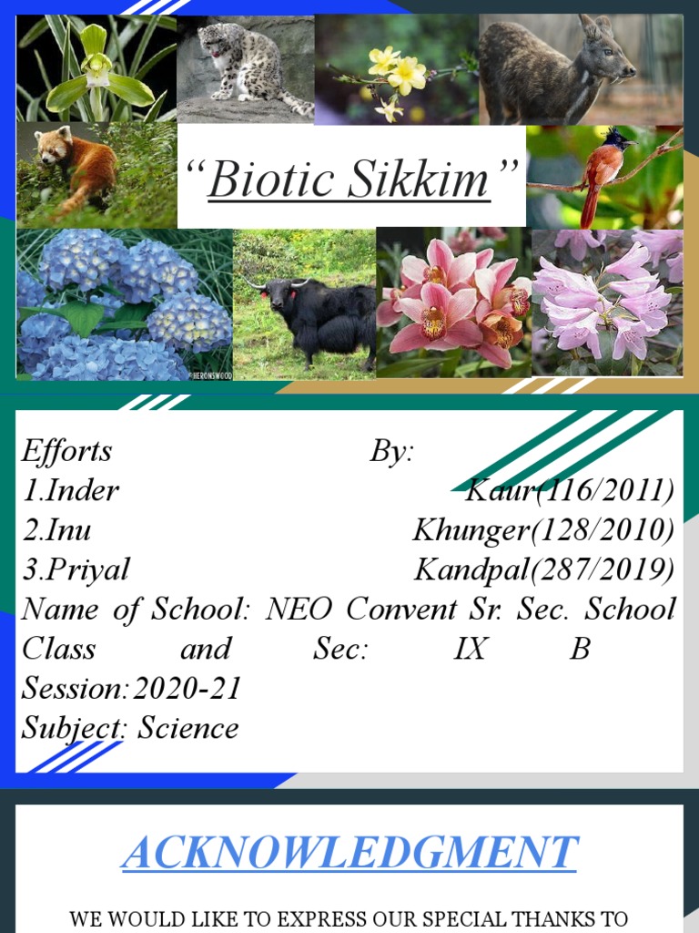 Science Powerpoint Presentation On Sikkim | PDF | Plants | Organisms