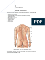 Anatomía Lumbodorso