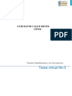 Tarea Virtual 3 - CALLE REYES