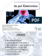 Encefalitis Por Enterovirus