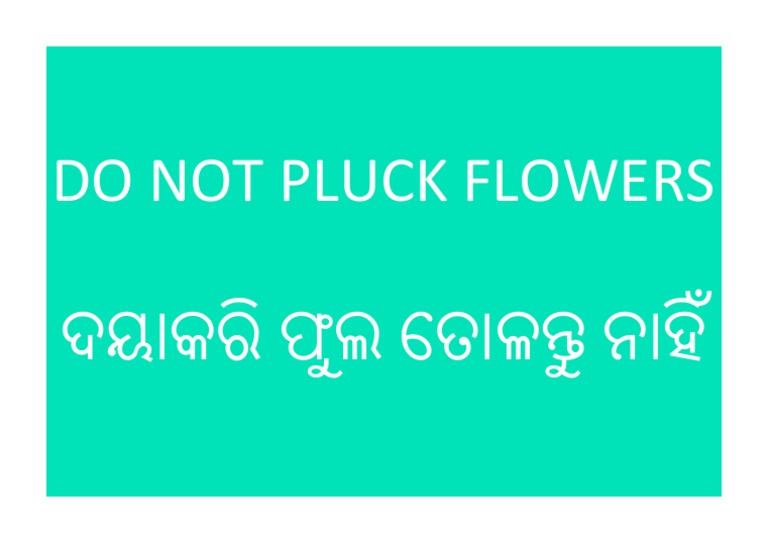 Do Not Pluck Flowers PDF