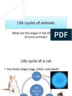 Life Cycles of Animals Life Cycles of Animals