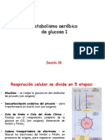 BIOQUÃ - MICA - 005 - Sesion17-18-Metabolismo Aerã Bico de Glucosa II - SMN