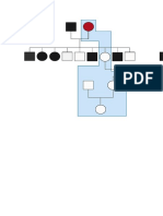 Genogram Fix