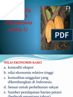 Budidaya Kakao