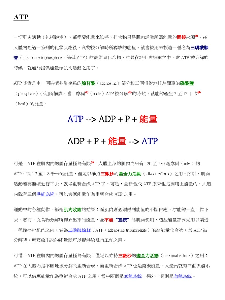 ATP | PDF