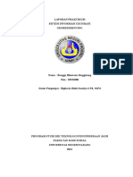 Rangga Bhuwana Singgalang, 20331080, Teknologi Penginderaan Jauh, Sig Rabu 4