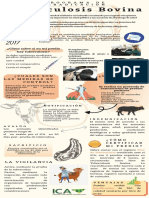 Tuberculosis Bovina Resolucion 17463 Poster Informativo