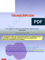 9 Transcripcion Sintesis de ARN
