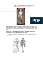 Proporciones de La Figura Humana