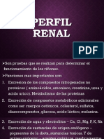 Perfil Renal