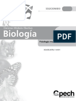 Fisiología muscular y ventilación: estructura muscular y mecanismo de contracción