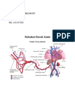 Sirkulasi Darah Janin