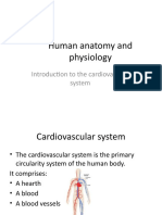 Human Anatomy and Physiology: Introduction To The Cardiovascular System