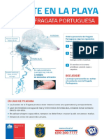 AFICHE - FRAGATA PORTUGUESA - Final