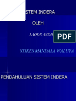 SISTEM INDERA PENDENGARAN