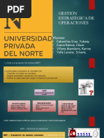 PRACTICA de CAMPO 1 VillenaMendietaKarina