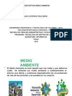 Diapositivasmedioambiente 131202150017 Phpapp01 Convertido (1)