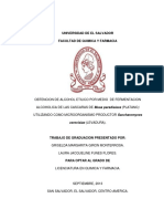 1 Obtencion de Alcohol Etilico Por Medio de Fermentacion Alcoholica de Las Cascaras de Musa Paradisiaca Utilizando Como Microorganismo Productor Levadura de Pan