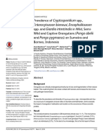 41. Prevalence of Cryptosporidium spp.,  and Giardia intestinalis in Wild, Semi-Wild and Captive Orangutans (Pongo abelii and Pongo pygmaeus) on Sumatra and Borneo, Indonesia