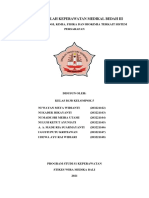 Anantomi Fisiologi Dan Kimia Persyarafan