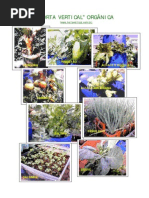 horta_vertical_organica