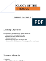 5a - Osteology of Thorax - Intercostal Spaces