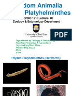 Kingdom Animalia Phylum Platyhelminthes: ZOO/BIO 121: Lecture 08 Zoology & Entomology Department