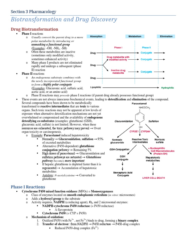 Pharmacology - Section 03 - Biotransformation, Drug Discovery | PDF ...