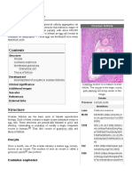 Ovarian Follicle: Structure