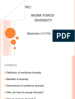 Workforce Diversity Mechanism