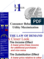 Consumer Behavior and Utility Maximization: End Show