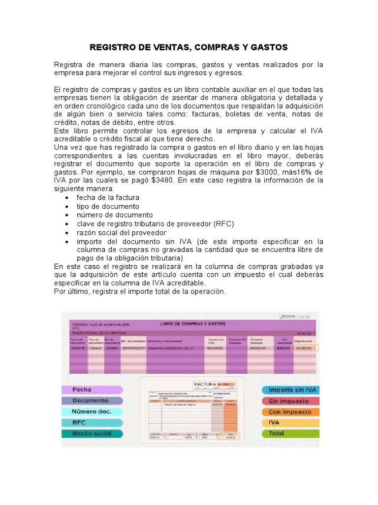 Registro de Ventas y Compras Contables | PDF | Inventario | Factura